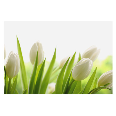 3D fototapeta s motivem elegantních bílých tulipánů