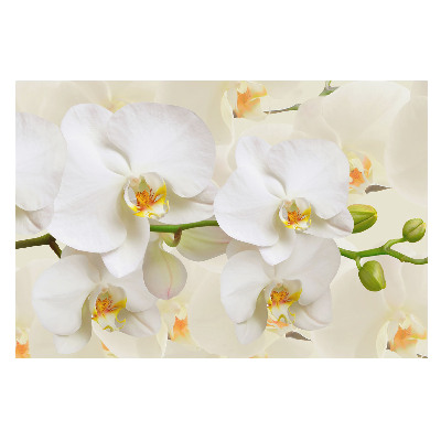 Fototapeta na míru do obývacího pokoje Svěžest bílých orchidejí