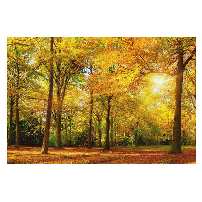 Fotografická tapeta na vliesu s motivem hostiny v podzimním lese