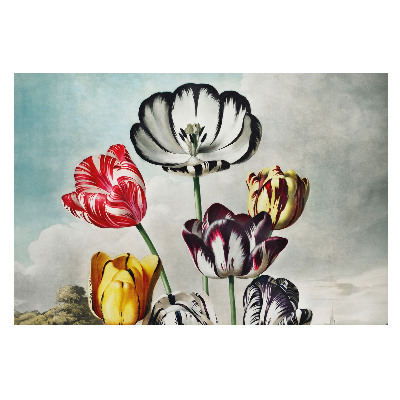 Moderní fototapeta na míru s motivem klasické kytice tulipánů