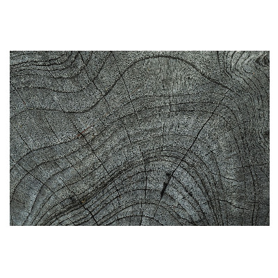 Fototapeta na vliesu s potiskem s motivem symetrického rytmu letokruhů