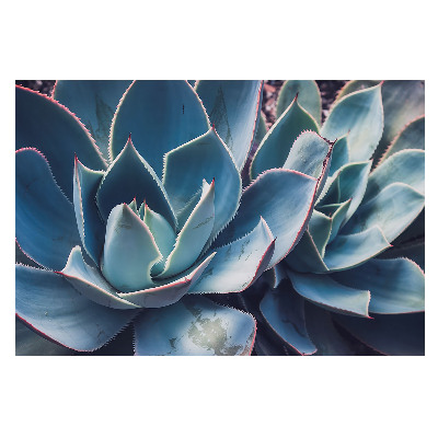 Moderní fototapeta na míru se vzorem symetricky uspořádaných listů aloe vera