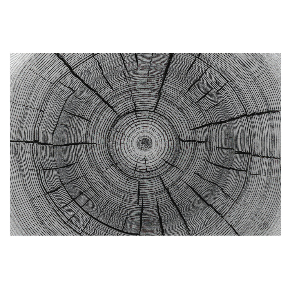 Fototapeta na stěnu se vzorem symetricky propojených dřevěných kruhů