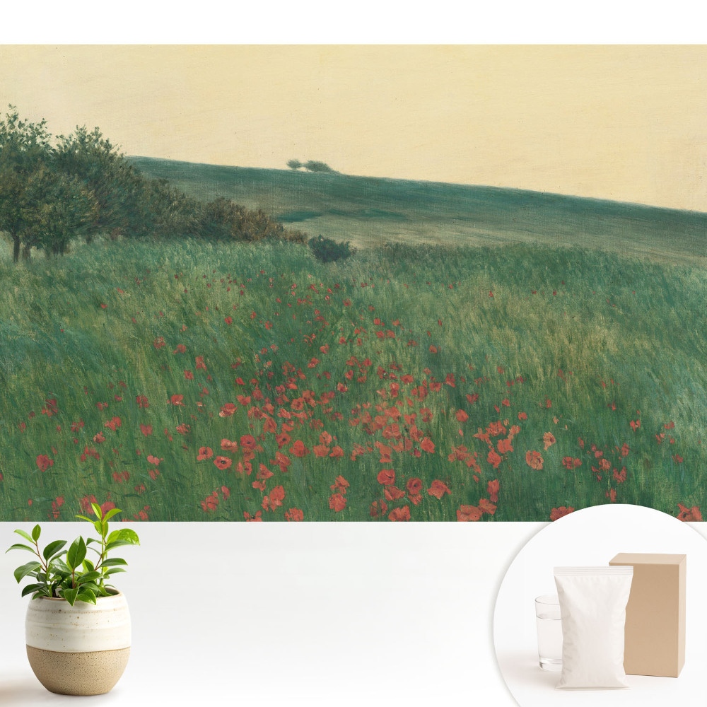 3D fototapeta s motivem červeného makového pole