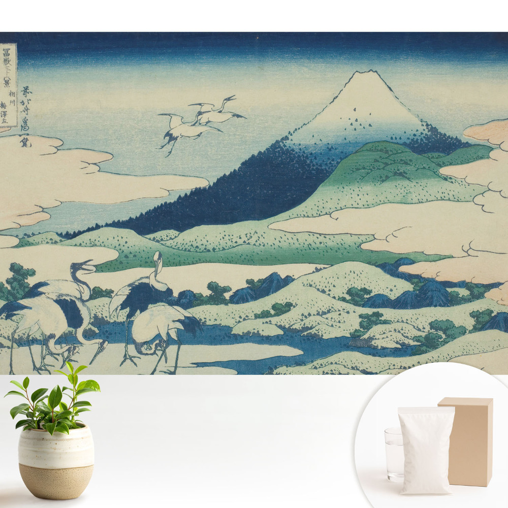 Vliesová fototapeta na zeď s motivem japonských jeřábů v horách