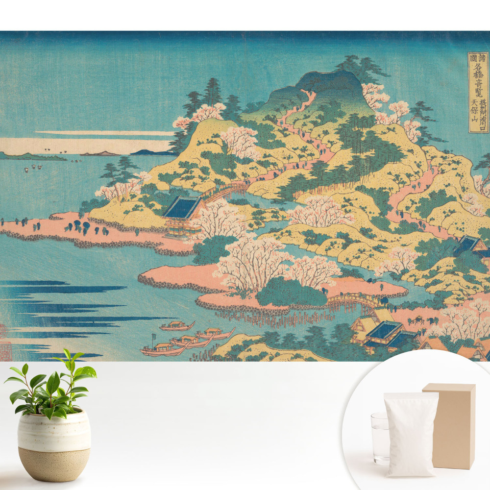 Fototapeta na zeď s tradičním pohledem na japonský ostrov