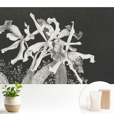 Fototapeta na stěnu Elegantní tmavá orchidej