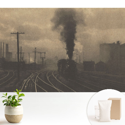 Fototapeta vliesová s motivem průmyslového železničního depa