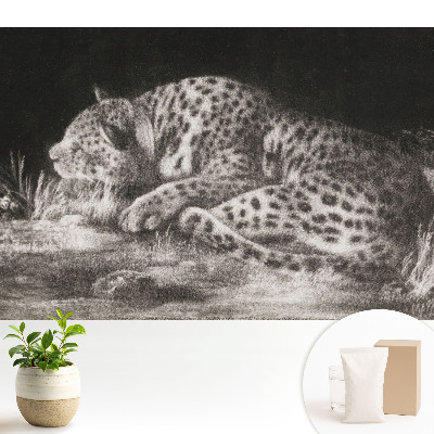 Fotografická vliesová tapeta s motivem leoparda odpočívajícího v trávě