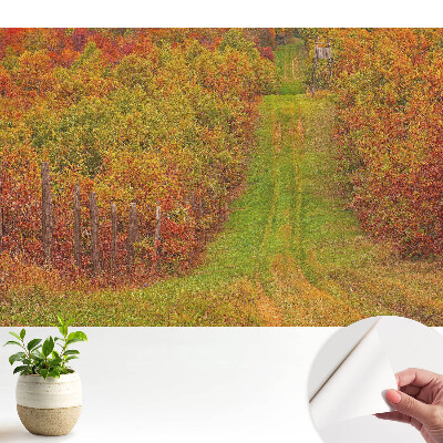 Fotografická tapeta samolepicí Zlatá cesta barevným lesem