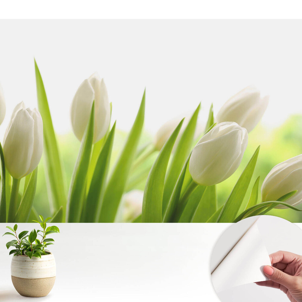 Samolepicí fototapeta do dětského pokoje s motivem elegantních bílých tulipánů
