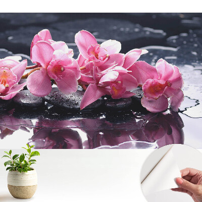 Fototapeta do dětského pokoje s motivem Harmonie růžové orchideje