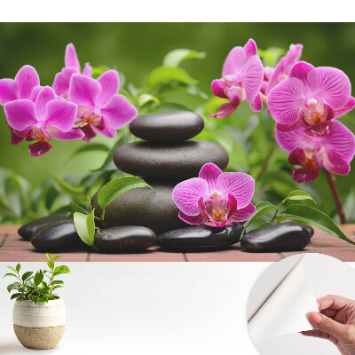 Samolepicí fototapeta do dětského pokoje stylová orchidejová rovnováha