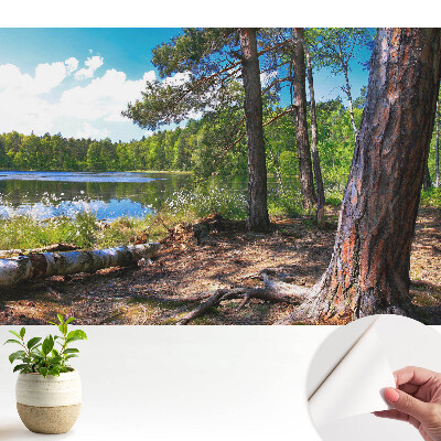 Fotografická tapeta samolepicí Výhled na lesní tůň