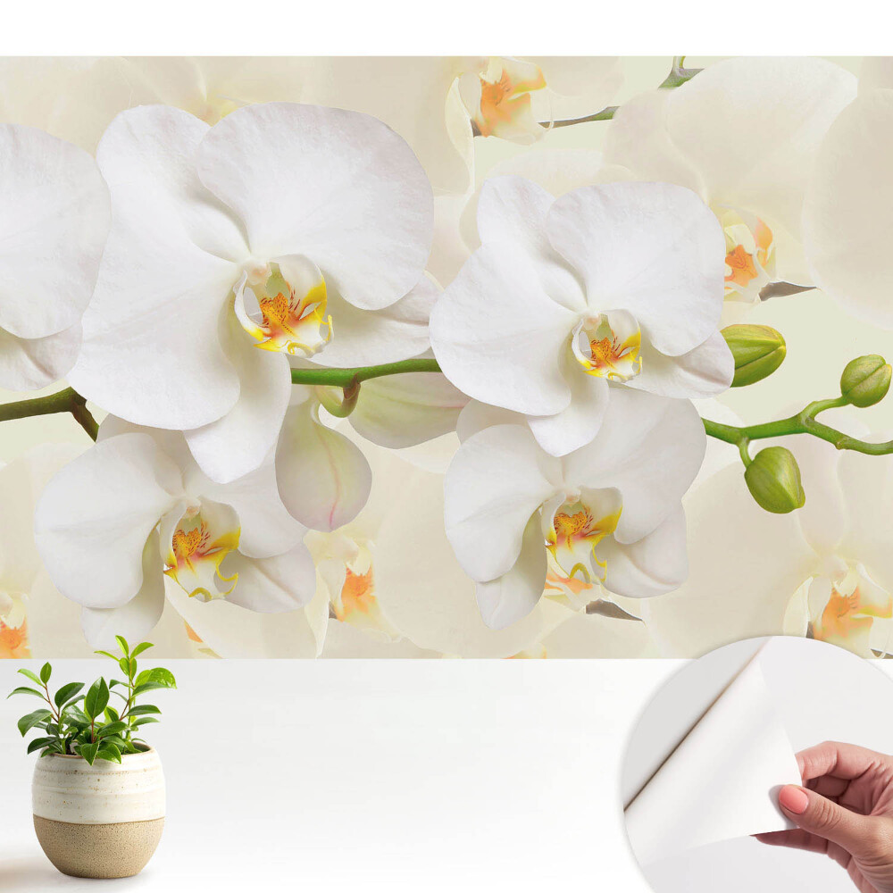Fotografická tapeta samolepicí Svěžest bílých orchidejí