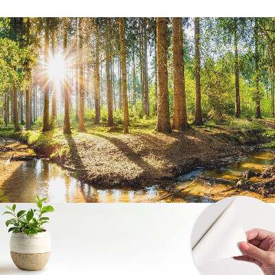 Fotografická tapeta na zeď Pohádkový les na slunci