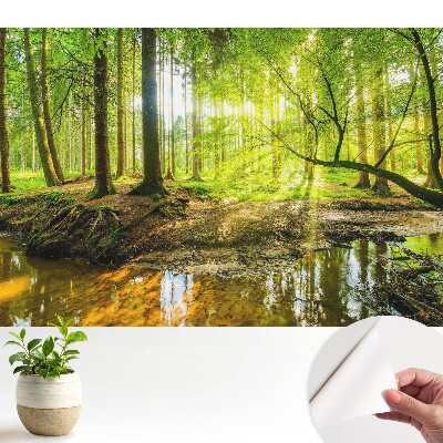 Fototapeta do dětského pokoje Život probouzící se u potoka