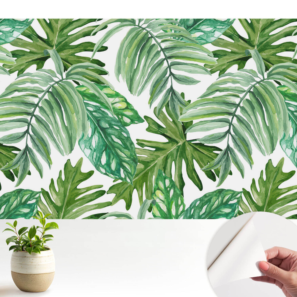 Fototapeta pro holku Botanická cesta do neznáma