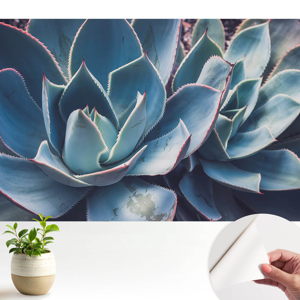Samolepicí fototapeta na zeď Symetrie listů aloe vera