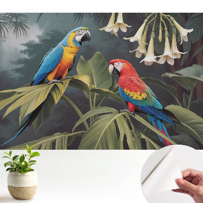 Fototapeta do dětského pokoje barevná exotika tropických ptáků
