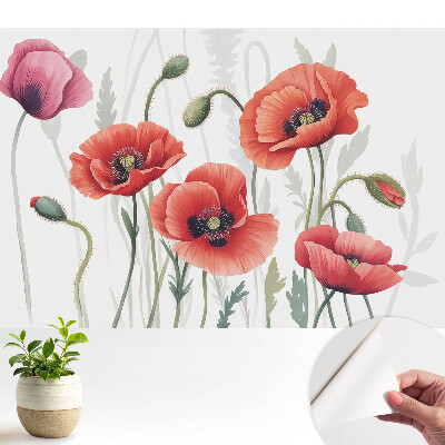 Fototapeta do dětského pokoje s botanickým portrétem červených máků
