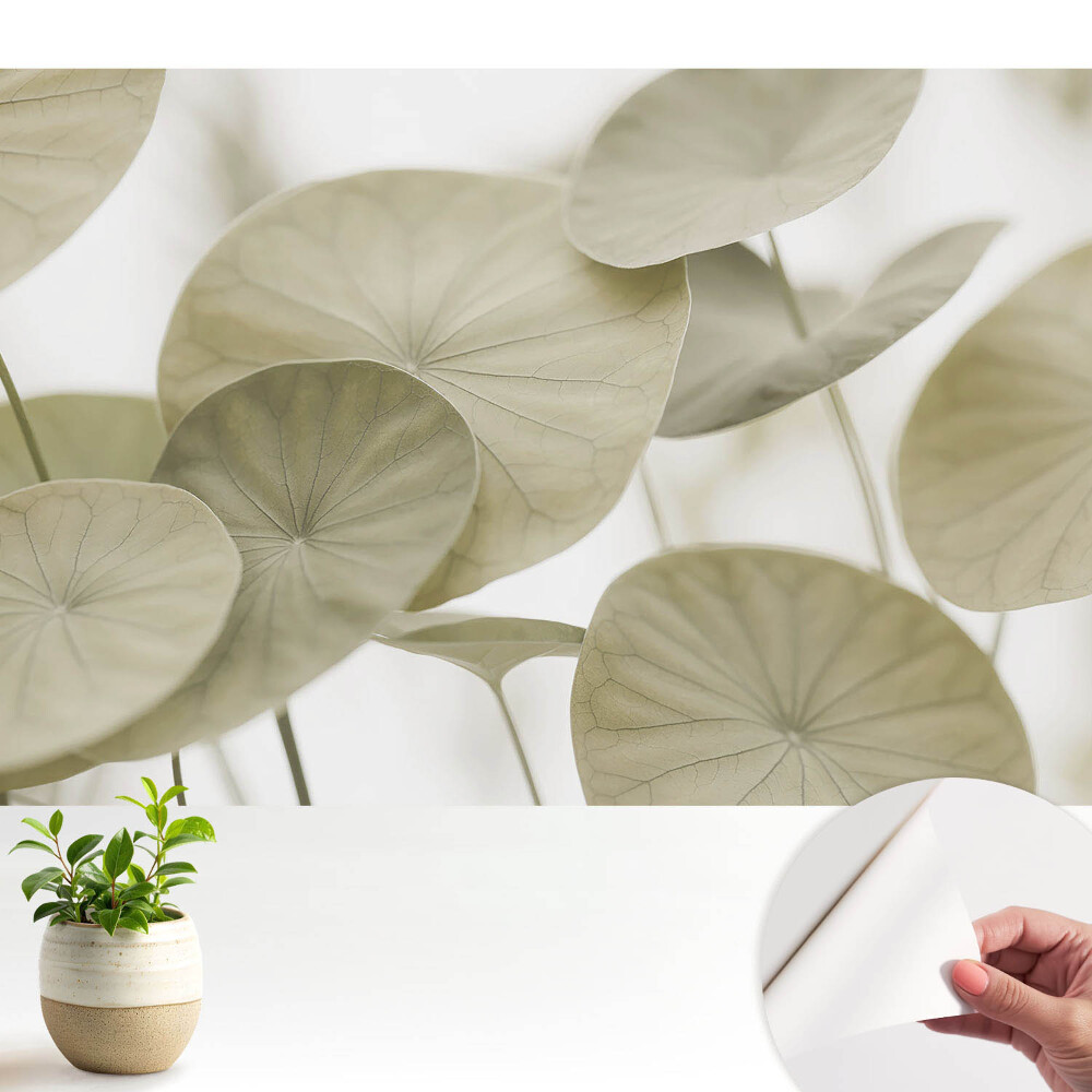 Samolepicí dekorativní fototapeta minimalistická elegance přírodních listů