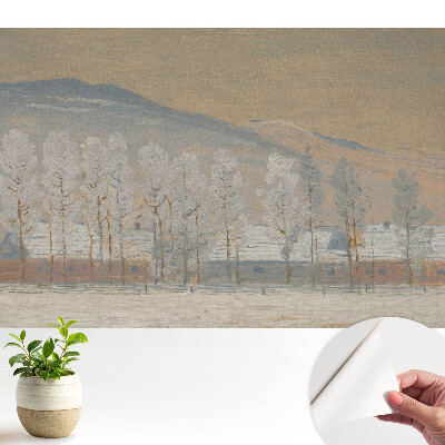 Fototapeta pro kluka Alpská zima ve vesnici