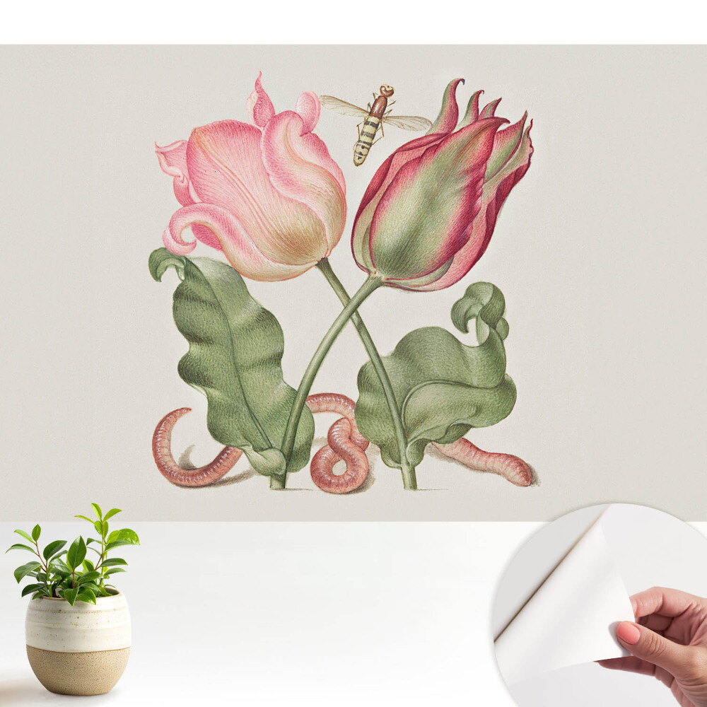 Samolepicí fototapeta do obýváků s detailem tulipánu