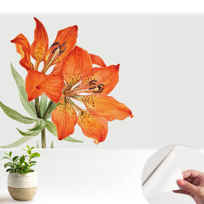 Samolepicí dekorativní fototapeta oranžová lilie