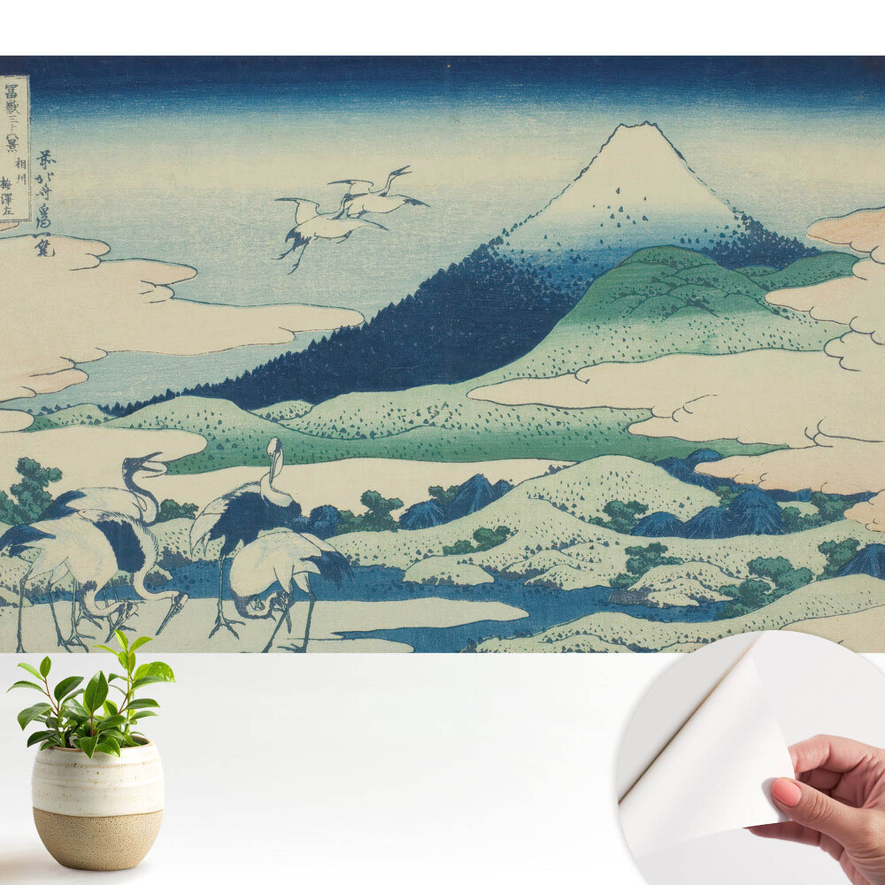 Moderní samolepicí fototapeta japonskí jeřábi v horách