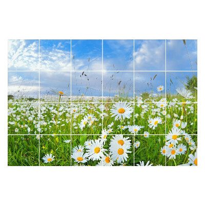 Nálepka na dlaždice Květinová louka