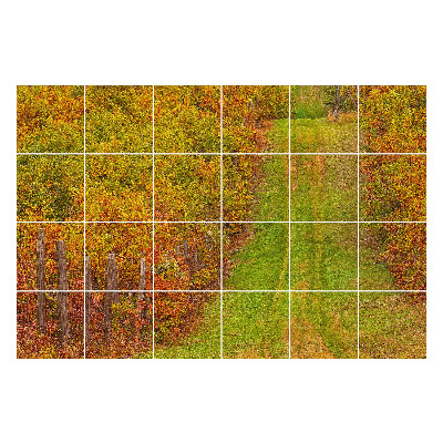 Samolepka na dlaždice Podzimní stezka v přírodě