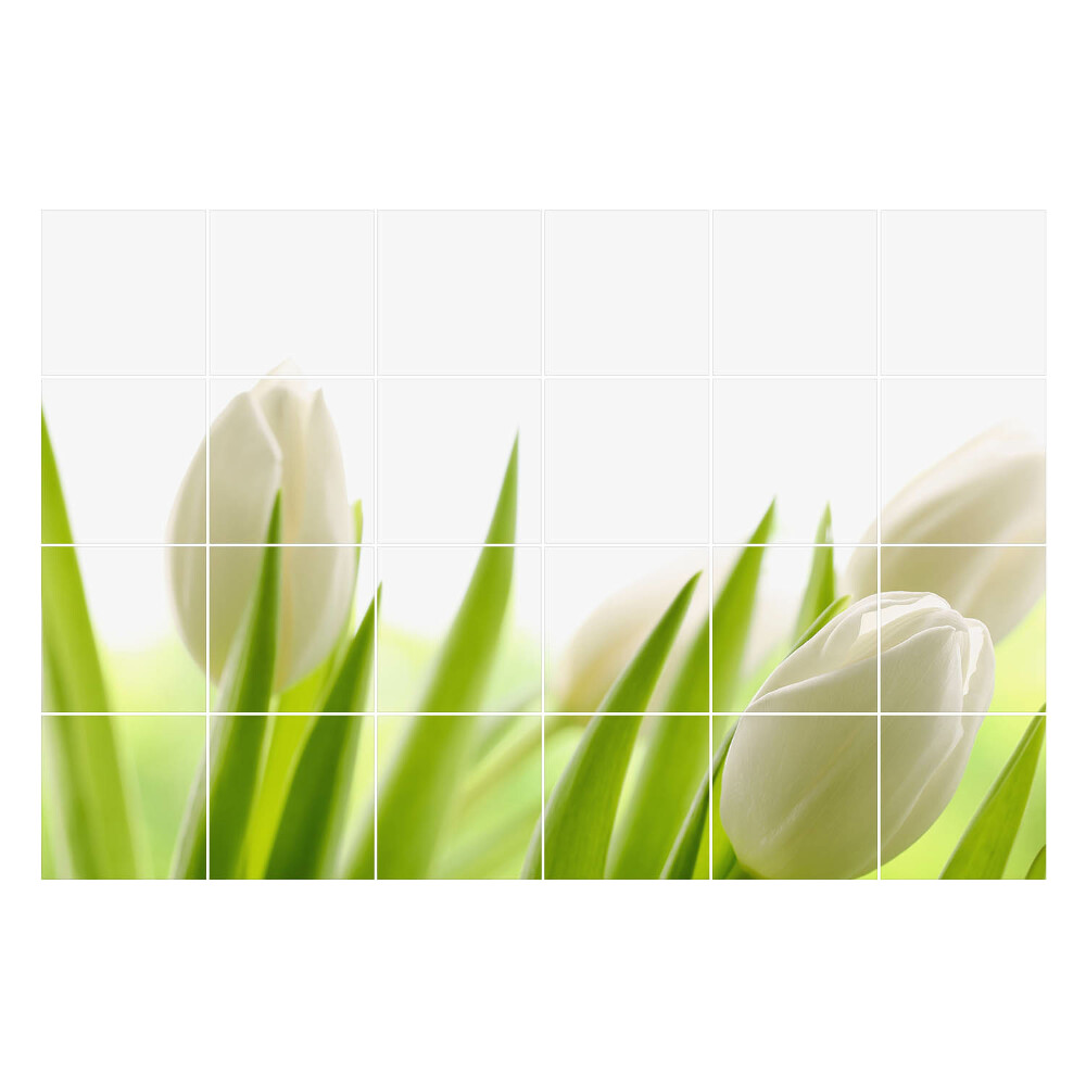 Samolepka na dlaždice Křehké tulipány v přírodě