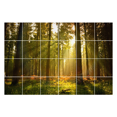 Nálepka na dlaždice Sluneční paprsky v lese