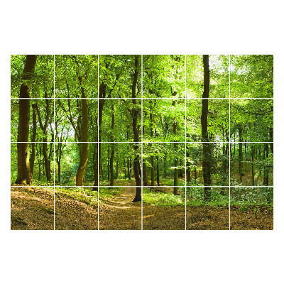 Samolepka na dlaždice Zelený les s alejí