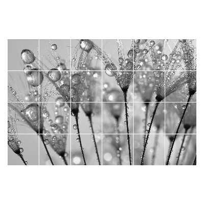 Samolepka na dlaždice Kapky na jemných stoncích