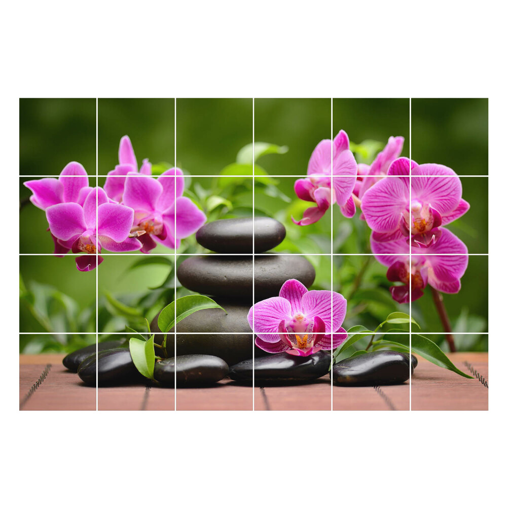 Samolepka na dlaždice Kameny a květy orchidejí