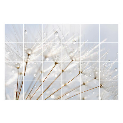 Samolepka na dlaždice Kapky na pampeliškovém chmýří