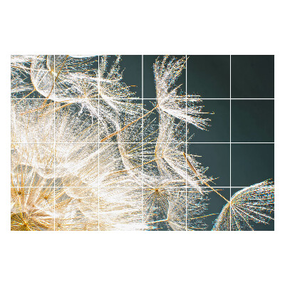 Nálepka na dlaždice Jemná semínka pampelišky