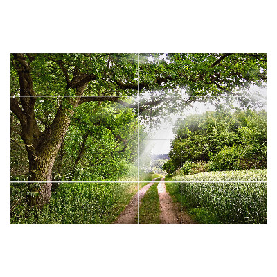 Nálepka na dlaždice Zelená cesta v lese