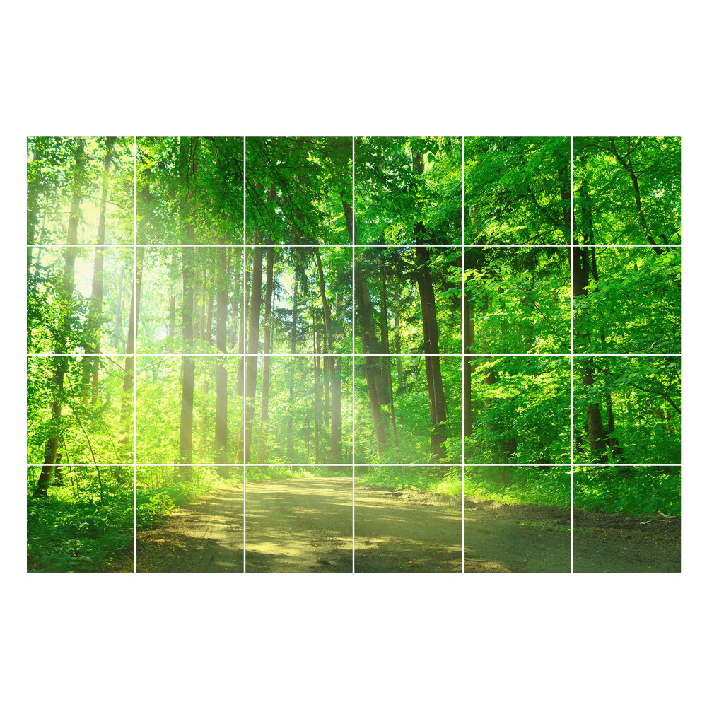 Nálepka na dlaždice Lesní cesta v paprscích