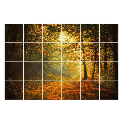 Samolepka na dlaždice Podzimní lesní krajina