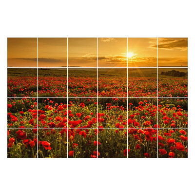 Samolepka na dlaždice Květinová louka při západu slunce