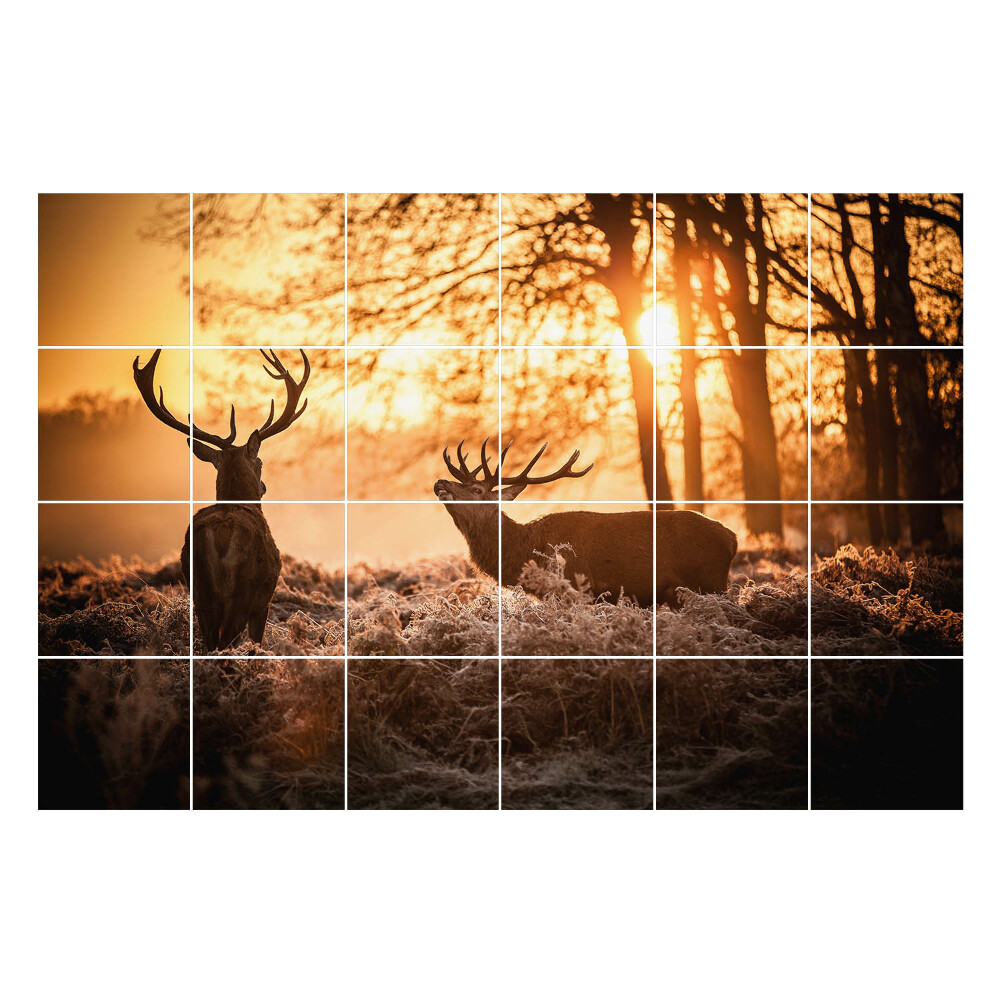 Nálepka na dlaždice Jelen v ranní mlze