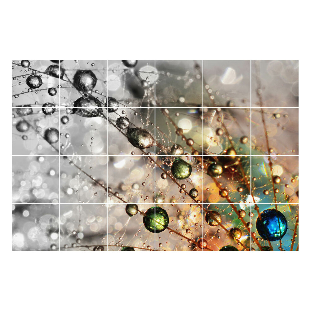 Samolepka na dlaždice Kapky na jemných vláknech