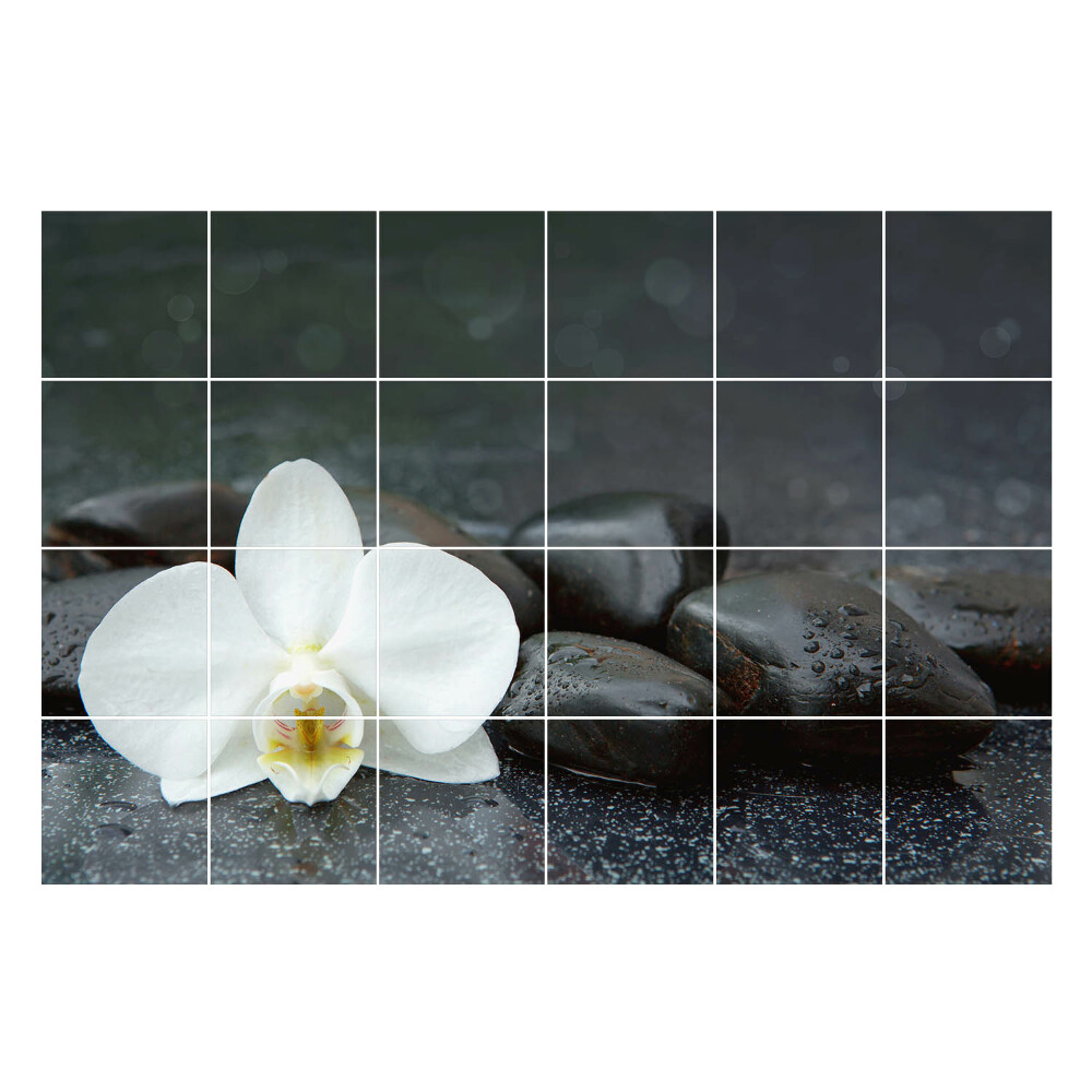 Samolepka na dlaždice Květina na vodních kamenech