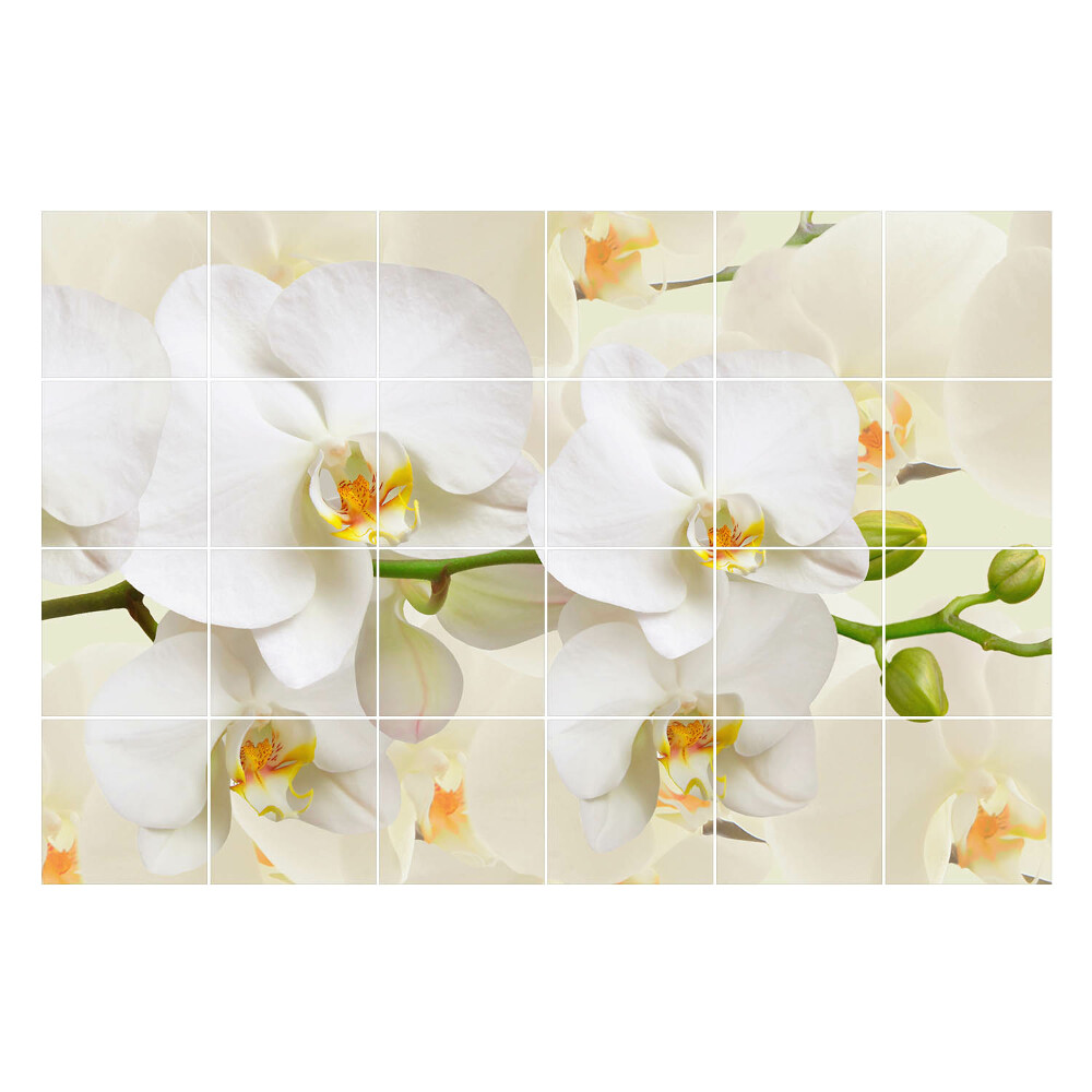Nálepka na dlaždice Květinové motivy orchidejí