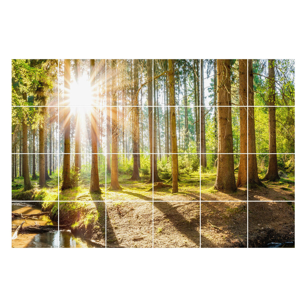 Samolepka na dlaždice Lesní krajina s paprsky
