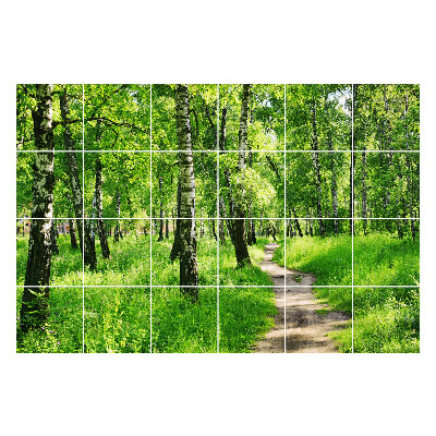 Nálepka na dlaždice Lesní cesta v přírodě