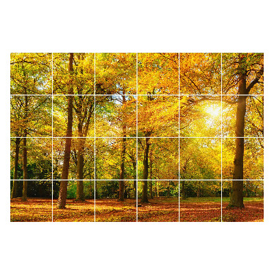 Nálepka na dlaždice Zlaté listí v lese